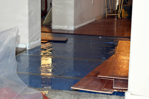 Professional Water Damage Restoration technician working in Wilmington, NC
